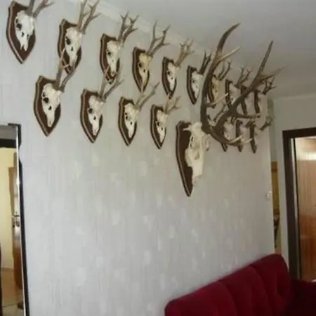 Klimatisierte In Mit Moeblierter Terrasse Apartment Balatonboglár